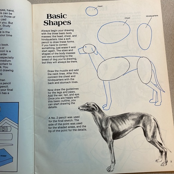 📚2/$6 2-Book Bundle Learn to Draw Animals - Picture 7 of 16